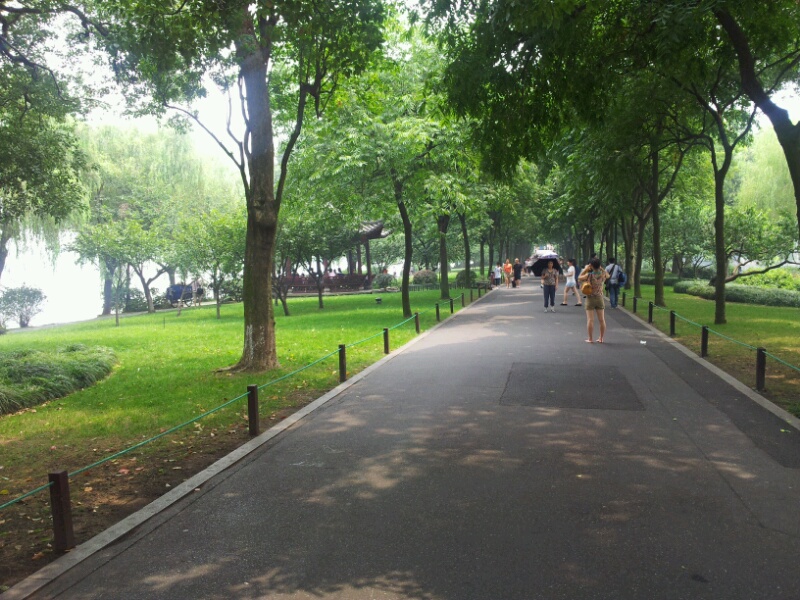 20120719_124908.jpg